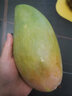 福歡歡越南大青芒 新鮮當季水果單果450g起大芒果青皮甜心酸野芒果 5斤【單果1斤左右】 曬單實(shí)拍圖
