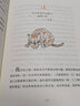 小貓凱蒂和她的四條命 精裝 學生課外閱讀 推薦閱讀 兒童文學 圖書 曬單實拍圖