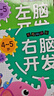 愛德少兒左右腦開發(fā) 3-4歲右腦開發(fā) 幼兒早教左腦右腦開發(fā)童書啟蒙早教繪本思維訓(xùn)練游戲書 曬單實(shí)拍圖