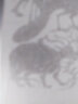 醫學(xué)尋源（中國古醫籍整理叢書(shū)基礎理論04） 清 鄭昭 著(zhù) 中國中醫藥出版社 中醫書(shū)籍 曬單實(shí)拍圖
