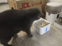 小甜橙猫咪恒温饮水机流动宠物饮水机自动循环饮水器加热水碗冬天插电 实拍图