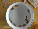 種菜記 小瀨瓜種子金鈴子園藝庭院癩葡萄水果苦瓜種籽孑可生食特色蔬菜 小瀨瓜6粒 曬單實(shí)拍圖
