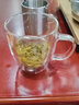 歐梵美（OUFANMEI）雙層耐熱 玻璃杯茶杯帶把手 防燙辦公室咖啡杯透明水杯子隔熱簡(jiǎn)約 帶把手-雙層隔熱杯- 500ml 曬單實(shí)拍圖