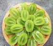 山姆大叔 陽(yáng)光玫瑰葡萄青提【JD/順豐-多地次日達】無(wú)籽晴王葡萄水果禮盒 3A級 嘗鮮果（單果6-8g） 2斤【實(shí)惠嘗鮮】較劃算 曬單實(shí)拍圖