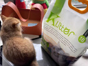 K LITTER酷親豆腐貓砂木薯綠茶水蜜桃活性炭貓砂 可沖馬桶 【2.0顆?！吭?.8kg*3 曬單實拍圖