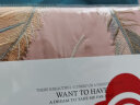 洁丽雅（Grace）四件套双人刺绣磨毛绣花被套床品套件 羽蝶-豆沙2x2.3米被套 实拍图