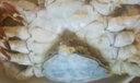 陸龍兄弟 冷凍鮮紅膏梭子蟹 全母膏蟹 舟山海鮮凍品水產(chǎn) 順豐速配 [禮盒裝]鮮紅膏梭子蟹500g*4袋 曬單實拍圖
