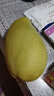 果戀匯（GUOLIANHUI）現(xiàn)貨海南三亞水仙芒新鮮特大芒果黃皮應(yīng)季水果當(dāng)季現(xiàn)摘整箱 凈重8斤特大禮盒裝 曬單實(shí)拍圖