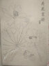 臻言 工筆畫(huà)白描底稿手繪荷花畫(huà)譜云母熟宣線(xiàn)描 初學(xué)者美術(shù)基礎教程臨摹練習創(chuàng  )作 熟宣紙蓮花水彩國畫(huà)上色 白描荷花97張，共97種圖案 曬單實(shí)拍圖