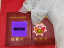 鉑吶苓求婚頭紗 新娘頭領(lǐng)證蝴蝶結(jié)蓋頭網(wǎng)紅發(fā)夾拍照儀式感表白裝飾道具 雙層包邊頭紗60cm【發(fā)夾款】 曬單實(shí)拍圖
