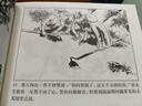 紅色經(jīng)典故事5 大刀記 連環(huán)畫 小人書 人民美術(shù) 學(xué)生閱讀（套裝5冊）連環(huán)畫出版社 曬單實拍圖