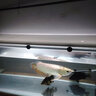 森森（SUNSUN）魚缸燈水草燈全光譜led燈防水燈管水族燈爆藻燈水陸兩用燈管 高亮白（全光譜） 適合1.5m魚缸 22W獨(dú)立開關(guān) 長130cm 曬單實(shí)拍圖