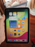 Apple/苹果 iPad mini(第 6 代)8.3英寸平板电脑 2021款(64GB WLAN版/MLWL3CH/A)粉色 实拍图