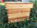 蜂之家蜜蜂蜂箱全套中蜂养蜂箱土蜂煮蜡诱蜂巢框套餐杉木养蜂工具批发 【3礼】煮蜡蜂箱(带沙盖+隔板) 实拍图