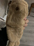 素錦初瀾可愛(ài)兔子耳朵毛絨手套女秋冬季騎車保暖翻蓋露指手套冬天學(xué)生禮物 駝色【升級(jí)加厚】 均碼 曬單實(shí)拍圖