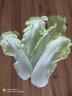 有機(jī)匯有機(jī)娃娃菜 有機(jī)蔬菜火鍋涮菜 有機(jī)認(rèn)證基地自種 新鮮采收無農(nóng)殘 250g 曬單實(shí)拍圖