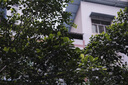 富士（FUJIFILM）微單二手定焦人像鏡頭 自動(dòng)微距對焦大光圈XC35mmF2 輕便定焦黑色99新 曬單實(shí)拍圖