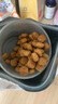 皇家狗糧LF22胰腺炎胃炎慢性成犬低脂易消化全價(jià)處方糧1.5kg/6kg 灰色 1.5kg 曬單實(shí)拍圖