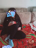 佰絲堂假發(fā)女長(cháng)發(fā)女士媽媽真發(fā)假發(fā)套中長(cháng)發(fā)梨花頭中老年長(cháng)卷發(fā)真人發(fā)絲 深棕色真發(fā) 【手織頂心】 中發(fā) 大碼 曬單實(shí)拍圖