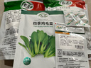 壽禾 小油菜種子青菜種籽秋冬季蔬菜菜籽 壽禾老品種四季雞毛菜種子50g 曬單實(shí)拍圖