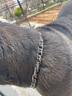 楚克奇（CHUKCHI）雙環(huán)雙目項鏈大型犬寵物不銹鋼P鏈狗鏈狗項圈家用訓(xùn)練頸圈 雙環(huán)奢華銀 60cm*2.8mm雙環(huán)特大型 曬單實拍圖
