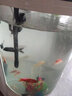 閩江（minjiang）半圓形魚(yú)缸水族箱圓柱型金魚(yú)缸客廳生態(tài)造景免換水錦鯉烏龜缸 純白色+造景套餐+開(kāi)缸禮包 BY560（魚(yú)缸+儲物柜子） 曬單實(shí)拍圖
