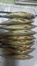 青占魚魚大號(hào)大鲅魚活鮐鲅魚馬鮫魚大整條冷凍馬鮫魚特大號(hào) 2500g 曬單實(shí)拍圖