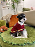 ISPET寵物衣服秋冬裝毛衣泰迪比熊小型犬柴犬西高地長毛領開衫毛衣 藍色 L 建議體重10-16斤 曬單實拍圖