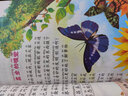 昆蟲記注音版彩繪 三年級讀的課外書 正版原著完整版法布爾小學生二三四年級閱讀書籍少兒版兒童版科普繪本幼兒版彩圖版 昆蟲記法布爾 昆蟲記【彩圖注音 加厚版】 曬單實拍圖