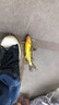 富源百川大物線組綁好的線組魚線主線組成品組合套裝水庫(kù)青鱘巨物釣大魚 2卷裝 5.4米 -巔覆大物線組 6號(hào) 曬單實(shí)拍圖