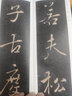 二玄社 進(jìn)口精選擴(kuò)大法帖12褚遂良枯樹賦唐人行書臨摹碑帖 文房四寶毛筆字帖 曬單實(shí)拍圖