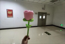 陌德玫瑰花 卡通布藝仿玫瑰花捶背棒敲打錘毛絨創(chuàng)意女生玩偶 粉色 長(zhǎng)約35厘米 曬單實(shí)拍圖