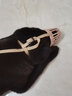 dogstory狗嘴套防咬狗口罩泰迪狗嘴罩柯基哈士奇金毛狗狗防叫 3號(hào)（10-25斤） 曬單實(shí)拍圖