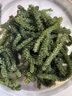 海葡萄 鹽漬海葡萄100g新鮮活即食長壽菜海藻菜海菜壽司魚子醬 100g*3包海葡萄 配蘸料 曬單實拍圖