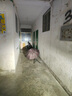 ACRUNU自行車(chē)夜騎燈 強(qiáng)光手電筒 USB充電防水前車(chē)燈 山地車(chē)燈 騎行裝備 旗艦版-EOS640-雙底座 四種模式 曬單實(shí)拍圖