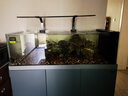 老漁匠魚缸溫度計電子高精度測溫外貼顯示屏水族箱魚缸專用測量器水溫計 【T8高精度數(shù)顯屏】超長續(xù)航免接電 曬單實拍圖