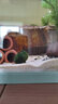 共度（Gong Du）魚(yú)缸莫斯水草植物活體慕斯片散裝莫絲樹(shù)球沉木大三角垂淚前景造景 小號生態(tài)綠藻球 發(fā)2 曬單實(shí)拍圖
