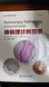 肺病理診斷圖譜 中國科學(xué)技術(shù)出版社 (奧)赫爾穆特·H.波普爾,(意)布魯諾·穆勒 著(zhù) 楊連君,司曉輝 譯 書(shū)籍 曬單實(shí)拍圖