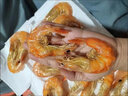 海鮮頌即食烤蝦干對蝦干海蝦干大蝦干風(fēng)干蝦海產(chǎn)干貨零食小吃大蝦仁干 烤蝦加大號 500g 曬單實(shí)拍圖