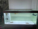 漁次郎防水led燈魚(yú)缸燈照明燈水族箱燈三湖慈鯛錦鯉金龍紅龍魚(yú)燈管專(zhuān)用 T8三排高亮燈【長(cháng)143cm-28瓦】 白光燈 龍魚(yú)水草生長(cháng)發(fā)色 曬單實(shí)拍圖