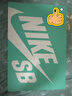 耐克男子休閑鞋SB FORCE 58 PRM L運(yùn)動(dòng)鞋DV5476-002 白色 44 曬單實(shí)拍圖