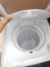 美菱（MELNG)12KG半自动洗衣机双缸家用宿舍租房大容量双桶洗脱分离强力去污 WP1222G 流光金  实拍图