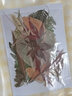 多種天然植物標(biāo)本干樹(shù)葉合集 diy貼畫(huà)材料幼兒園手工植物書(shū)簽樹(shù) 35種葉子約40片葉子 季節(jié)影響有所不同 樹(shù)葉 曬單實(shí)拍圖