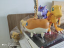 萬(wàn)代（BANDAI）數(shù)碼寶貝寶貝 超進(jìn)化魂 亞古獸 可變形 巴達(dá)獸神圣天使獸 現(xiàn)貨 曬單實(shí)拍圖