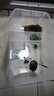 寵尚天 烏龜缸別墅生態(tài)飼養箱小烏龜活物活體龜盆寵物龜中華草龜 大號龜缸 白 +大禮包+龜 曬單實(shí)拍圖