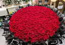情人節(jié)鮮花同城配送199/520/999朵玫瑰花花束速遞當(dāng)日達(dá)送女友 999朵紅玫瑰花束【甜蜜女神】 不含花瓶 曬單實(shí)拍圖