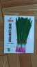 IDEAL理想农业 红根韭菜种子室内盆栽家庭四季种植5克*1袋 实拍图