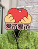 妖精的口袋彩點(diǎn)藏青毛絨絨棉服女24冬新款學(xué)院風(fēng)百搭仿羊羔毛外套 彩點(diǎn)綠色 L 曬單實(shí)拍圖