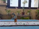 裕凡 茶席麻布禪意布藝中國風(fēng)茶墊布茶旗茶席棉麻布 茶席布茶臺茶幾桌布 手繪復古桌旗中式禪意現代簡(jiǎn)約 閑云野鶴（雙邊款） 30*120cm 曬單實(shí)拍圖