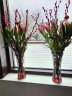 九月生 花瓶北欧风富贵竹康乃馨玫瑰百合满天星插花瓶玻璃客厅装饰摆件 实拍图